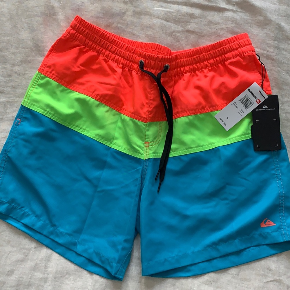 Quicksilver E Panel Volley 17”